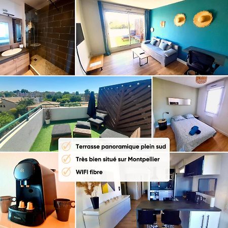 Apartmán Terrasse De La Pompignane - T2 Lumineux Plein Sud Montpellier Exteriér fotografie